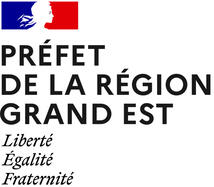 Préfet région